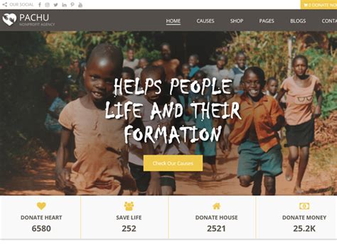 drupal for non profit